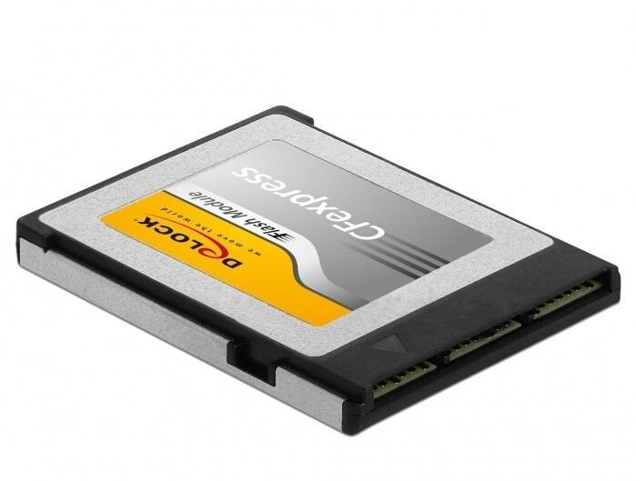 Bild von Delock 54066 (CF, 256 GB), Speicherkarte, Schwarz, Grau