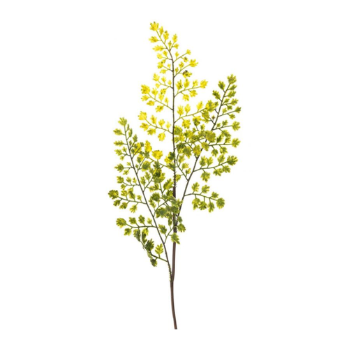 Bild von Frauenhaarfarn 40 cm - Künstliche Pflanze für Jede Dekoration