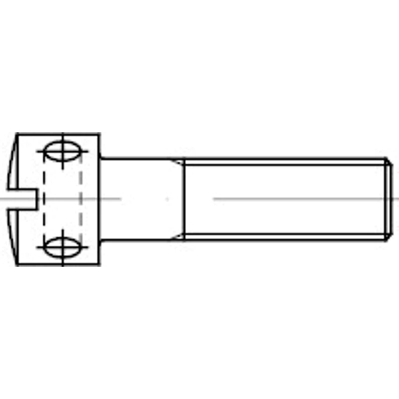 Bild von Reyher Schraube 100er Pack Kreuzlochschraube M 6 x 20 DIN 404 Schlitz 44413