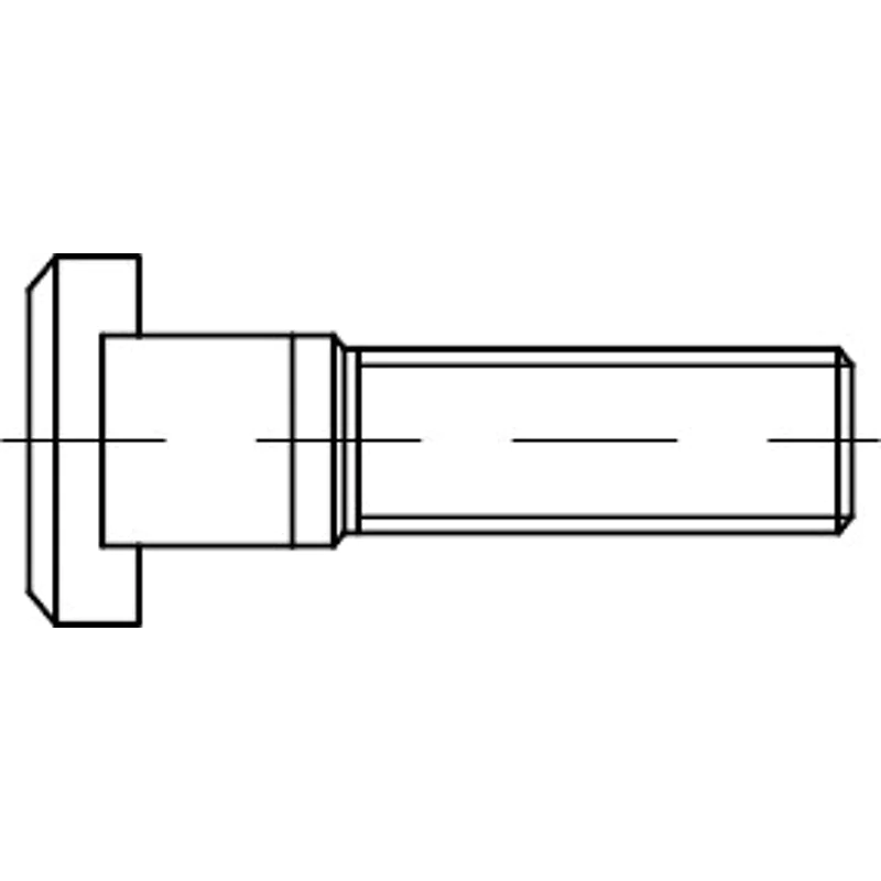 Bild von 10 Stk. T-Nutenschraube DIN 787 16 M16x 160 8.8 10 Stück Noname 007878001616160