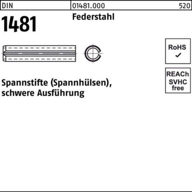 Bild von Reyher Spannstift 250er Pack Spannstift 6 x 55 DIN 1481 Federstahl schwere Ausführung