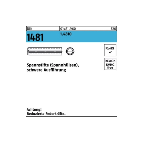 Bild von Reyher Spannstift 100er Pack - Perfekte Lösung für Befestigungsarbeiten