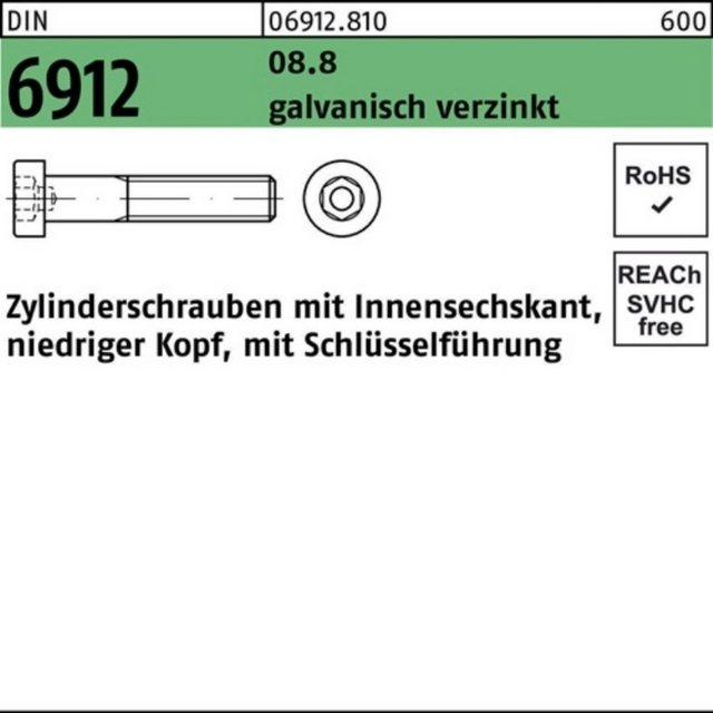 Bild von Reyher Zylinderschraube 200er Pack Zylinderschraube M 6 x 100 DIN 6912 m.Innensechskant 8.8 ga