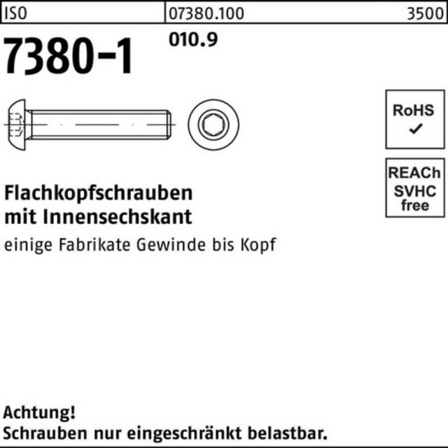 Bild von Reyher Schraube 100er Pack Flachkopfschraube M 10 x 60 ISO 7380-1 m.Innensechskant 010