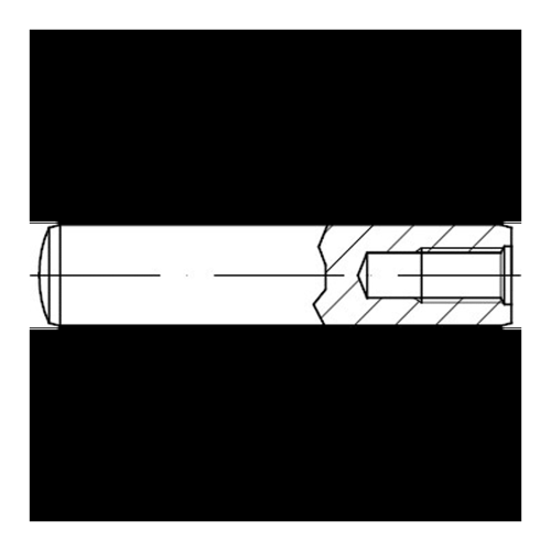 Bild von Zylinderstifte DIN 7979 Stahl D 25 x 100 – Qualität und Leistung vereint