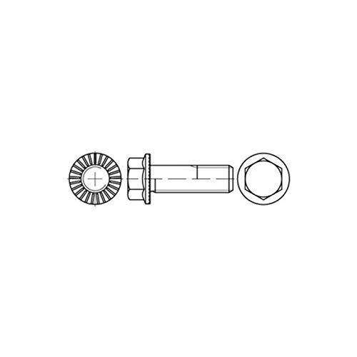 Bild von Reyher Schraube 100er Pack Sechskantflanschschraube M 16 x 65 R 88913 Sperr-Ripp VG 10