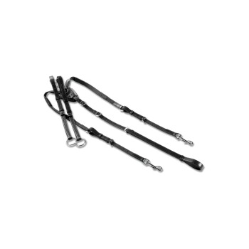 Bild von Waldhausen GmbH Waldhausen Vorderzeug X Line mit Elastic Pony