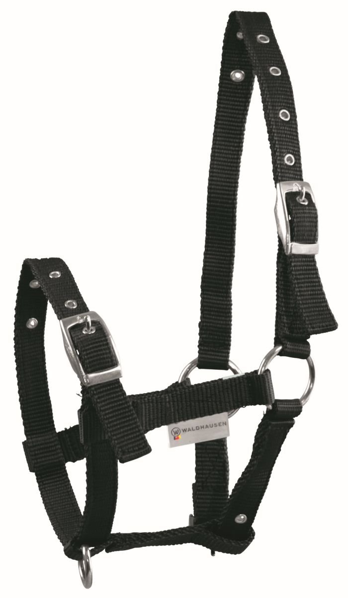 Bild von Waldhausen Fohlenhalfter TRIPLE schwarz