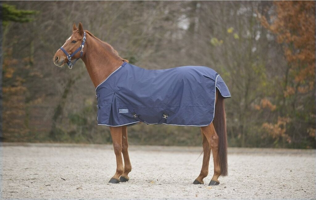 Bild von Waldhausen Comfort Regendecke mit Kreuzgurt 0 Gramm