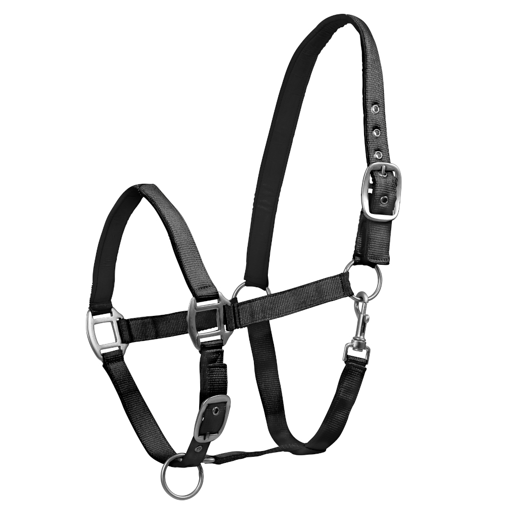 Bild von Waldhausen Perlonhalfter Satin
