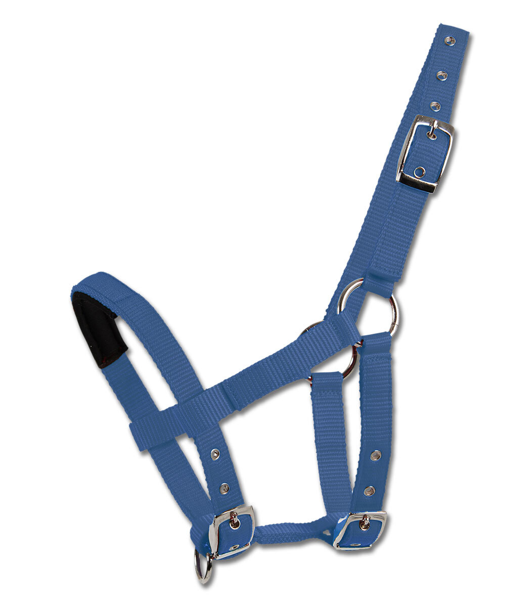 Bild von Waldhausen Mini-Shetty Halfter azur