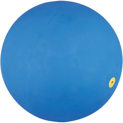 Bild von WV Spielball Akustikball, Perfekt für das Spiel mit sehbehinderten Menschen