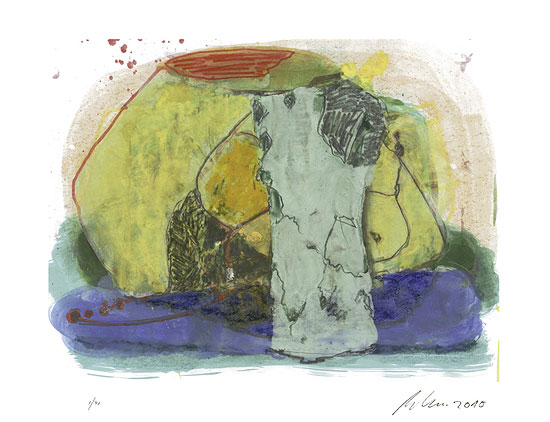 Bild von Rolf Behm: Bild 'Rio de Janeiro - Landschaft III' (2010), ungerahmt
