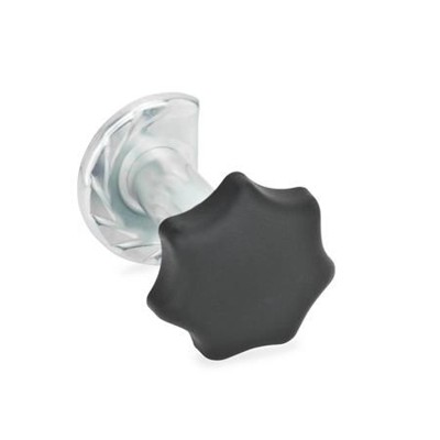 Bild von Ganter Norm® - 117-SG-T2-Z14 Türverriegelungen