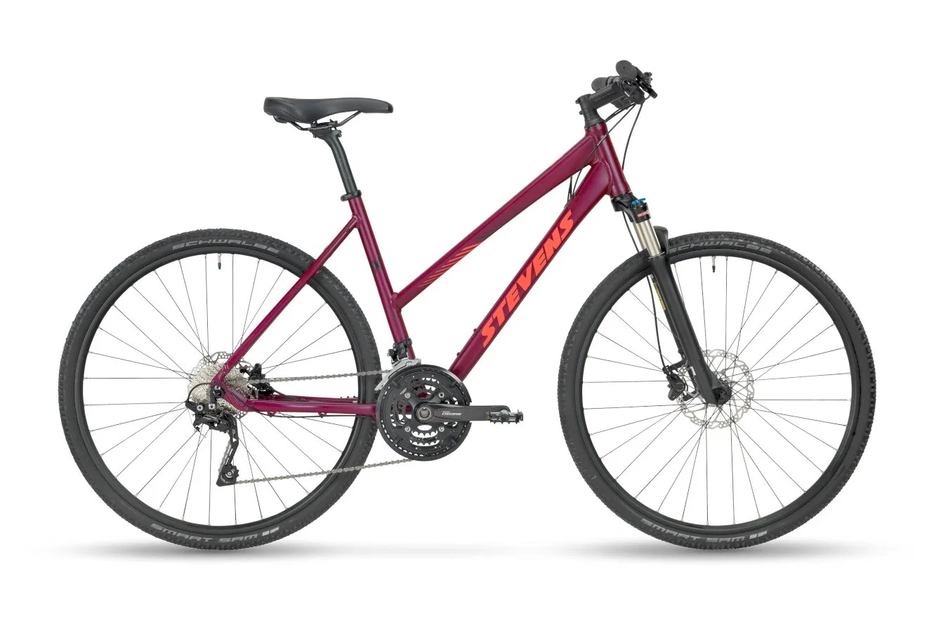 Bild von Stevens 6X Lady violett 50 cm 2021