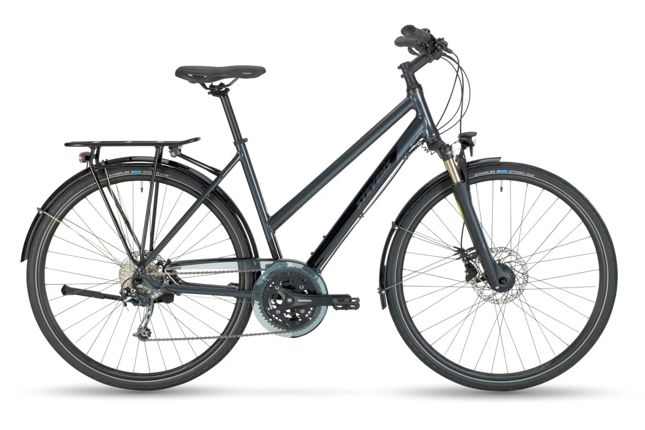 Bild von Stevens Savoie Lady Phantom Grey 54 cm (28") 2022