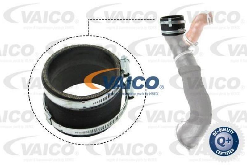 Bild von VAICO V25-1031 Ladeluftschlauch Gummi mit Gewebeeinlage Q+, Erstausrüsterqualität FORD: Focus 2