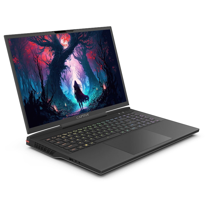 Bild von Captiva Advanced Gaming I86-235 Core i9 GeForce RTX 4060 (17.30", Intel Core i9-14900HX, 16 GB, 500 GB, DE), Notebook, Schwarz