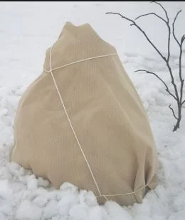 Bild von Winter-Vlies