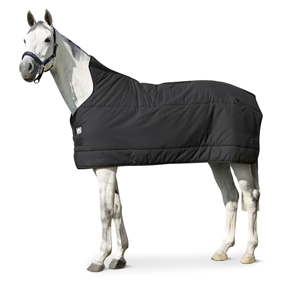 Bild von Eskadron Basics Thermo Cotton 240 Unterdecke