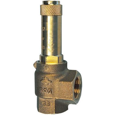Bild von RIEGLER® - Eck-Sicherheitsventil für Sattdampf, G 3/4", Ansprechdruck 3,5 bar