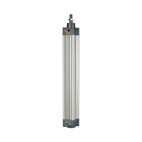 Bild von RIEGLER 106224-5.DMD.63250 Normzylinder – Doppeltwirkend mit Magnet