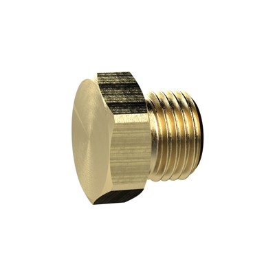 Bild von RIEGLER® - Verschlussschraube, Außensechskant, G 2", SW 70, Messing