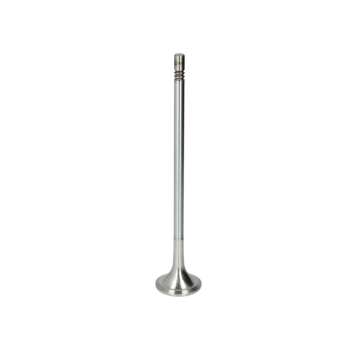 Bild von Auslaßventil DT Spare Parts 2.10582