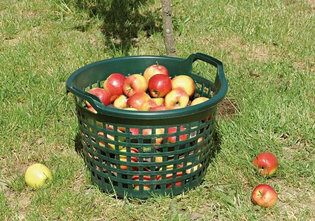 Bild von Floraworld Obstpflücker Floraworld Gartenkorb 31 l