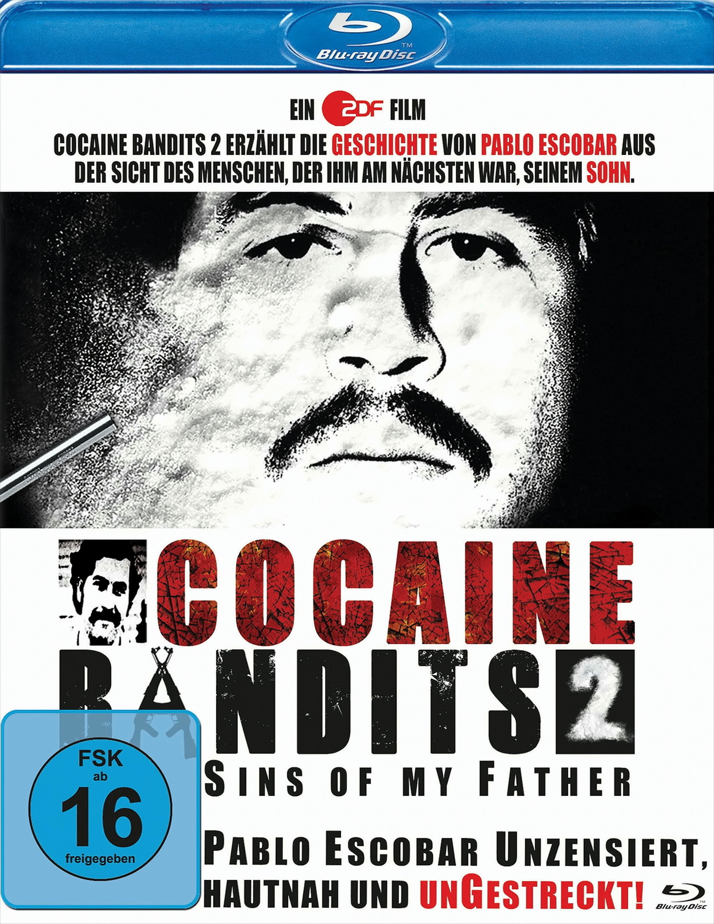 Bild von Cocaine Bandits 2