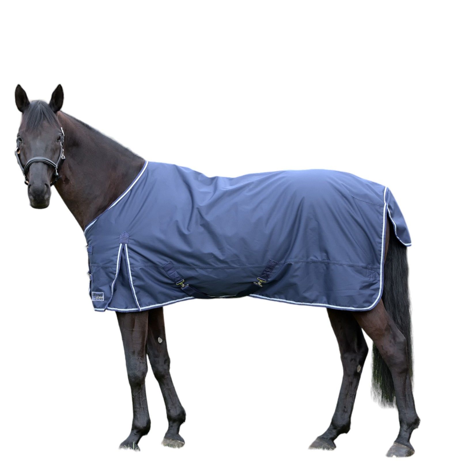 Bild von EQuest Outdoordecke Kingston für Pferde