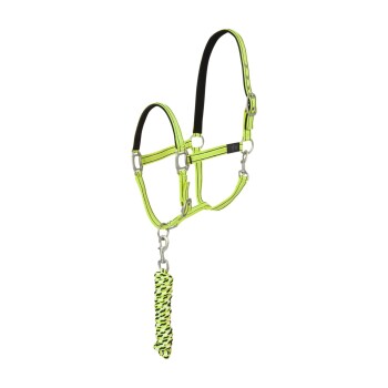 Bild von 4Horses Halfterset Sportsline mit Strick limonen gelb WB (Warmblut)