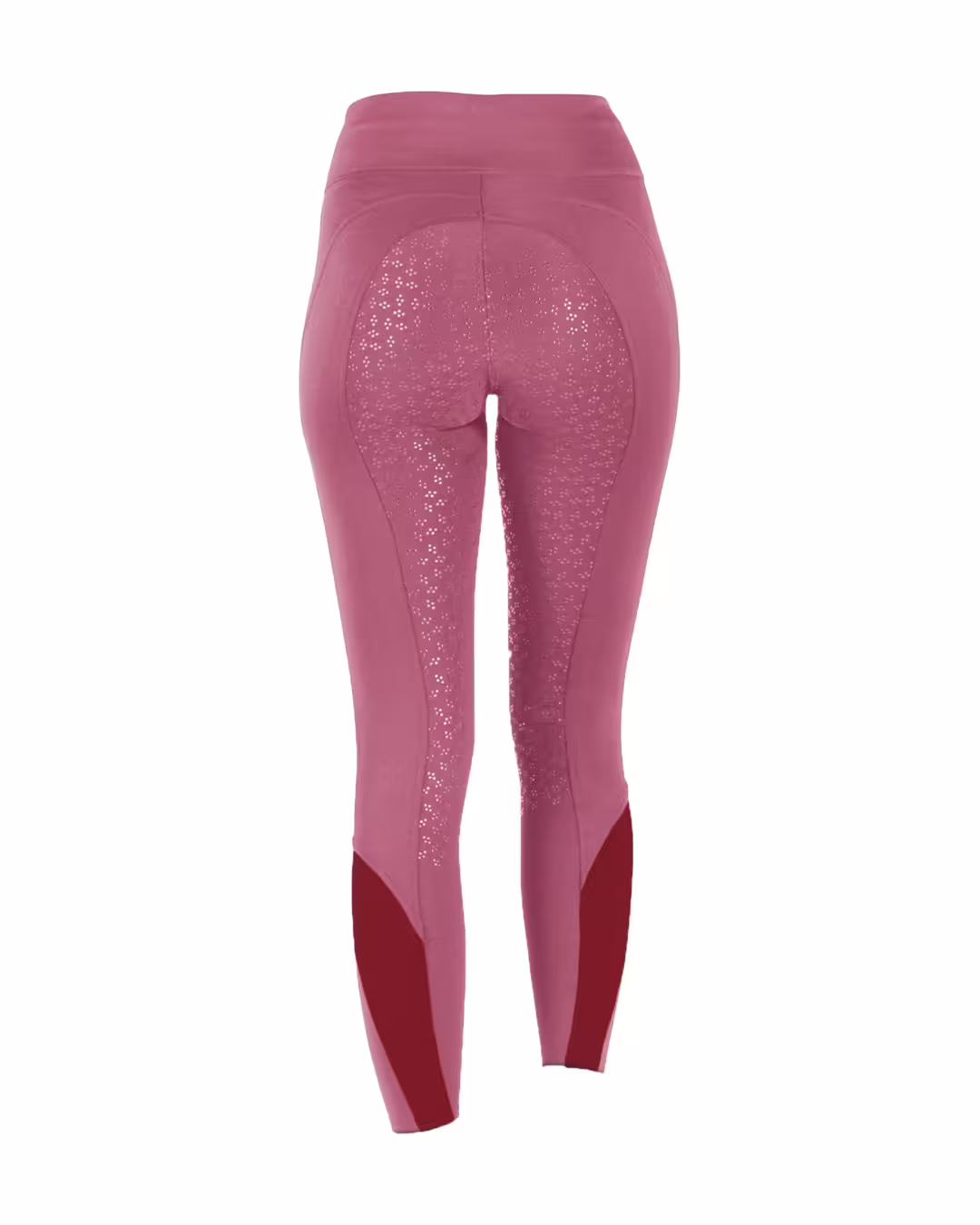 Bild von Reitleggings Tokio Sport Full Grip
