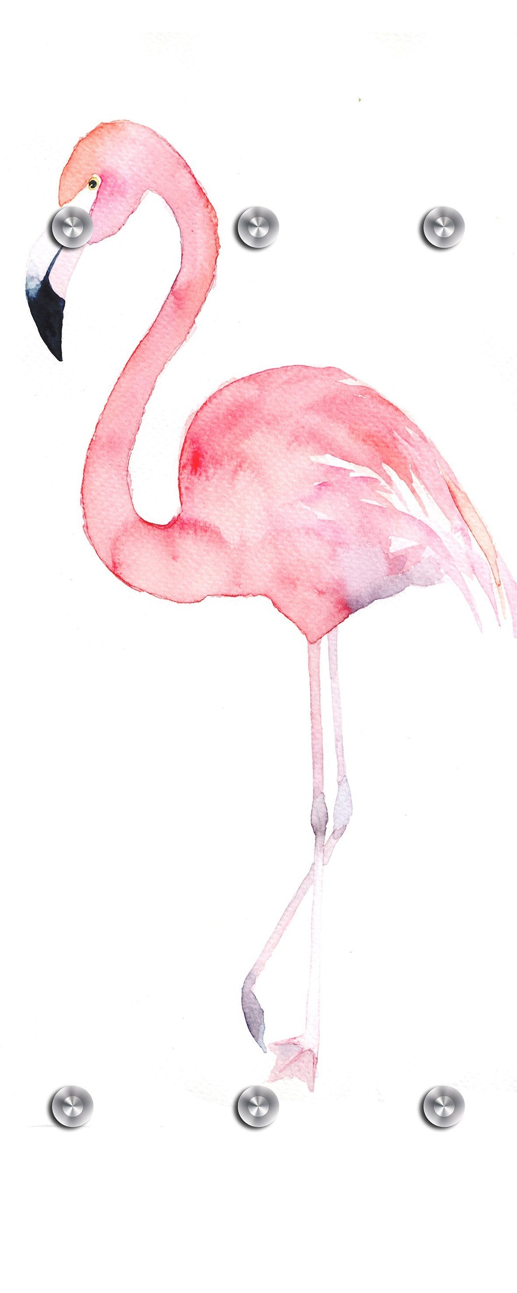 Bild von queence Garderobenleiste "Flamingo", mit 6 Haken, 50 x 120 cm