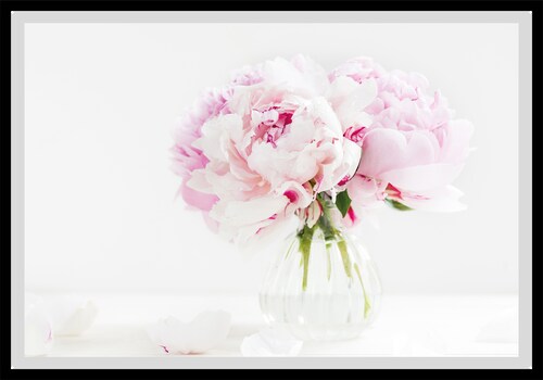 Bild von queence Bild "Carina", Blumen, gerahmt, Rosen