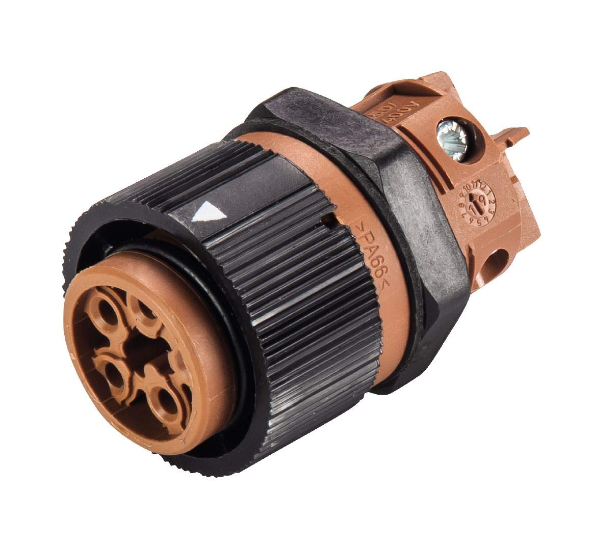Bild von Wieland 46.051.5050.4 Rundstecker Buchse, Einbau Serie (Rundsteckverbinder): RST® Mini Gesamtpolzahl: 5 1 St.