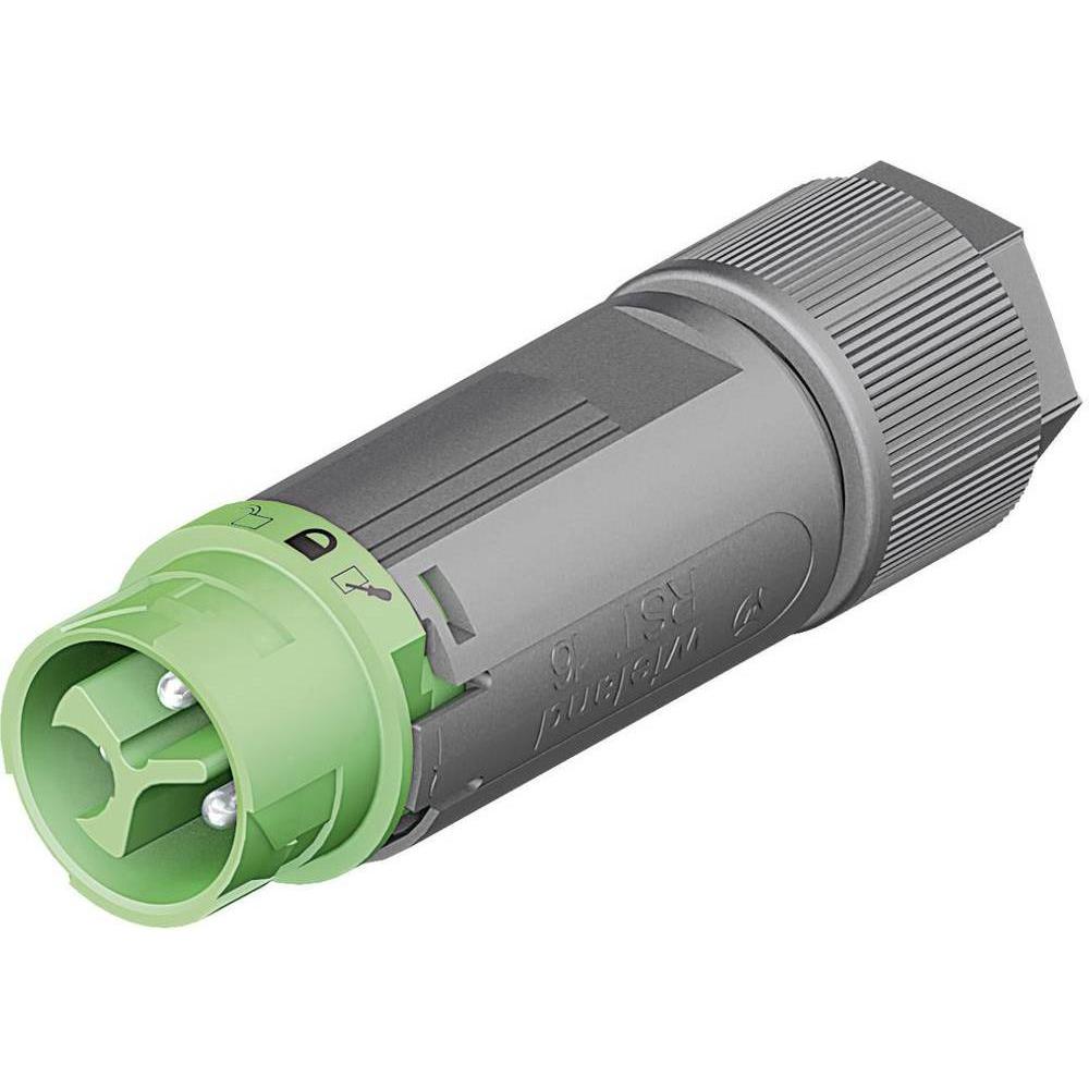 Bild von Wieland Electric 46.032.4555.7 Rundstecker Stecker, gerade Gesamtpolzahl: 2 + PE Serie (Rundsteckver
