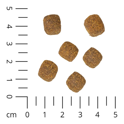 Bild von Schecker - Schecker Veggie-Dry - Vegetarisches Hundefutter [12kg]