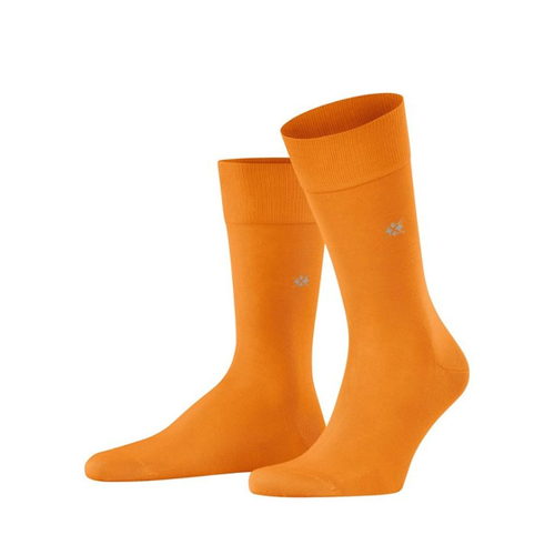 Bild von Burlington Socken Dublin – Qualität und Komfort vereint
