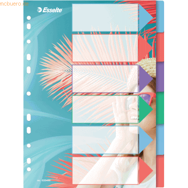 Bild von 20 x Esselte Register Colour'Breeze A4 PP blanko 6-teilig transparent