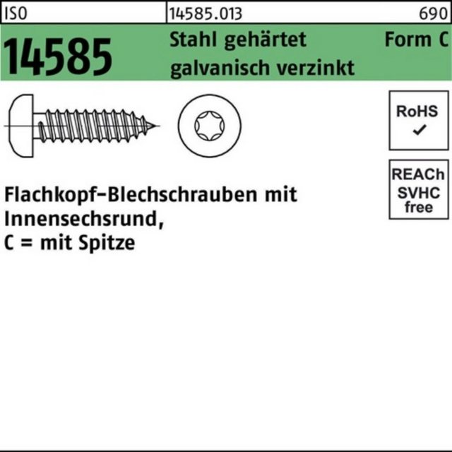 Bild von Reyher Blechschraube 250er Pack Blechschraube 4,8 x 90 -C-T25 ISO 14585 m.Innensechsrund/Sp