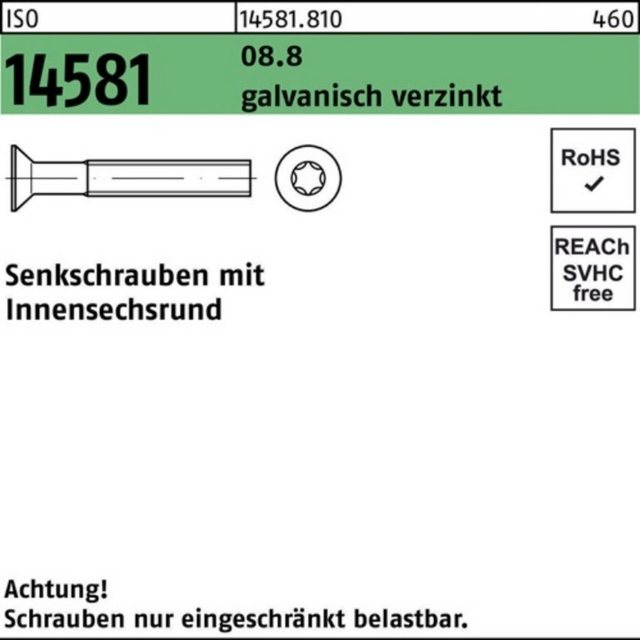 Bild von Reyher Senkschraube 200er Pack 145818100060030 Senkschraube ISO 14581 m.Innensechsrund M 6