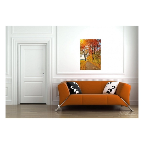 Bild von Wallario Poster, Herbstlicher Waldweg mit buntem Laub