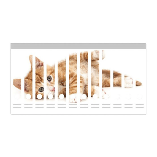 Bild von Wallario Etiketten Süße Katze mit großen Augen - rot weiß getigert, Ordnerrücken-Sticker