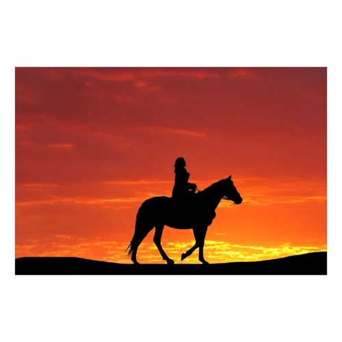 Bild von Poster „Reiter im Abendhimmel“ von Wallario