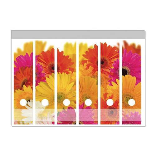 Bild von Wallario Etiketten Bunte Gerberas