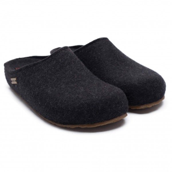 Bild von Haflinger Haflinger Michl Filzclog aus reinem Wollfilz mit Wechselfussbett Hausschuh