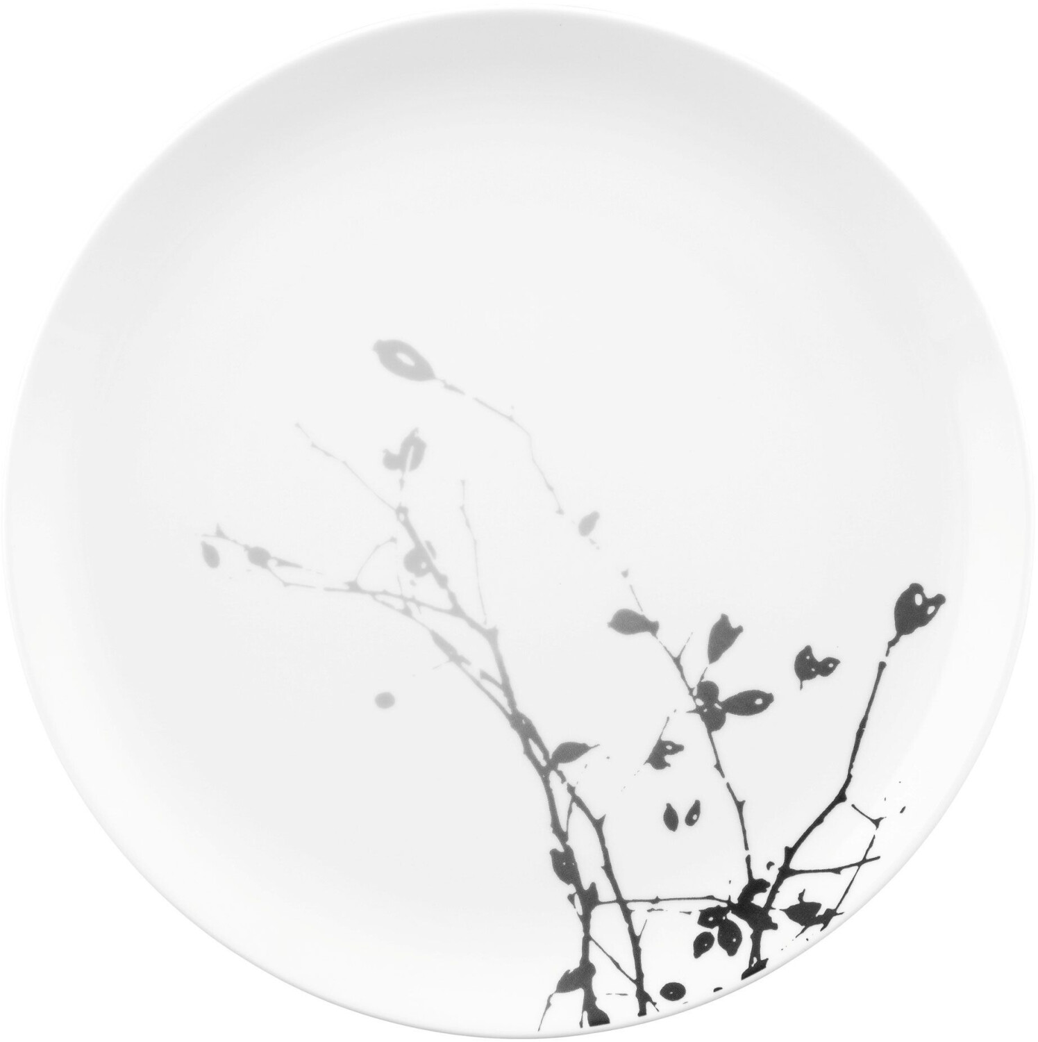 Bild von Seltmann Weiden Speiseteller Liberty 65223 Speiseteller rund Dark Rose Hip, Salamandergeeignet