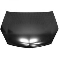 Bild von DIEDERICHS Motorhaube  für OPEL 93183981 93189108 1825100