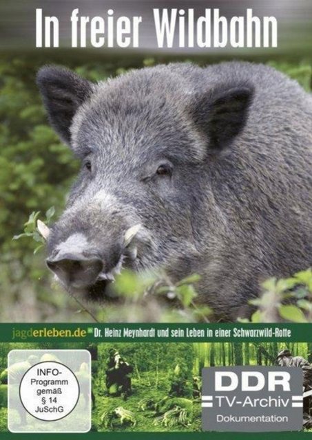 Bild von In freier Wildbahn (Wildschwein ehrenhalber)
